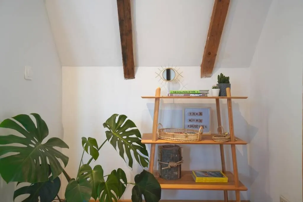 Contemporary Boho Style Loft Sofia Center Apartman